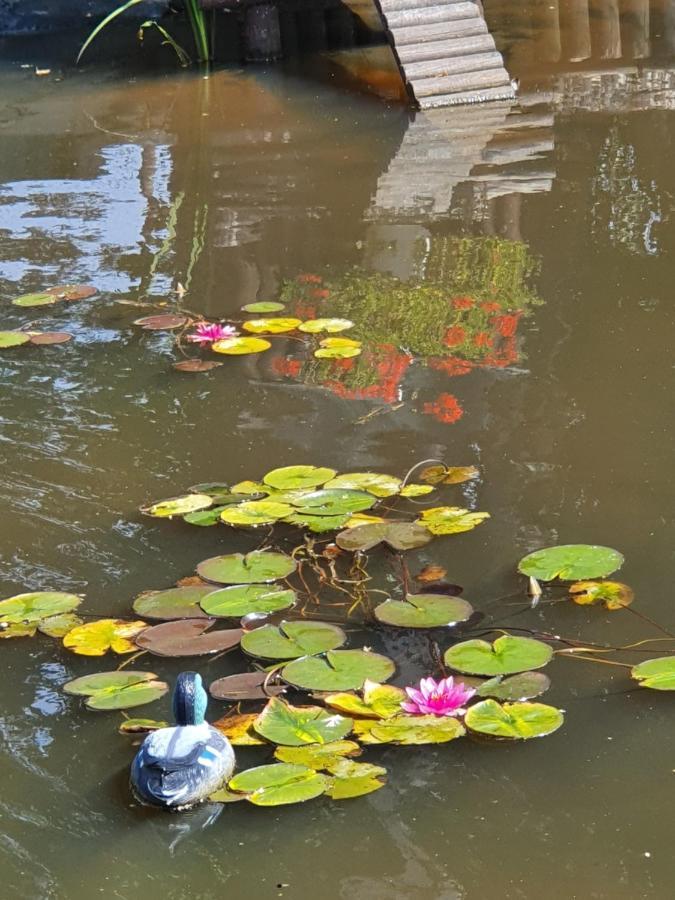 La Mare Aux Canards Sassetot-le-Mauconduit Ngoại thất bức ảnh